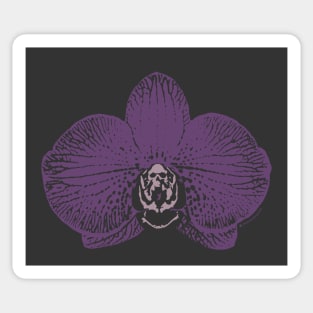 Morbid Orchid Sticker